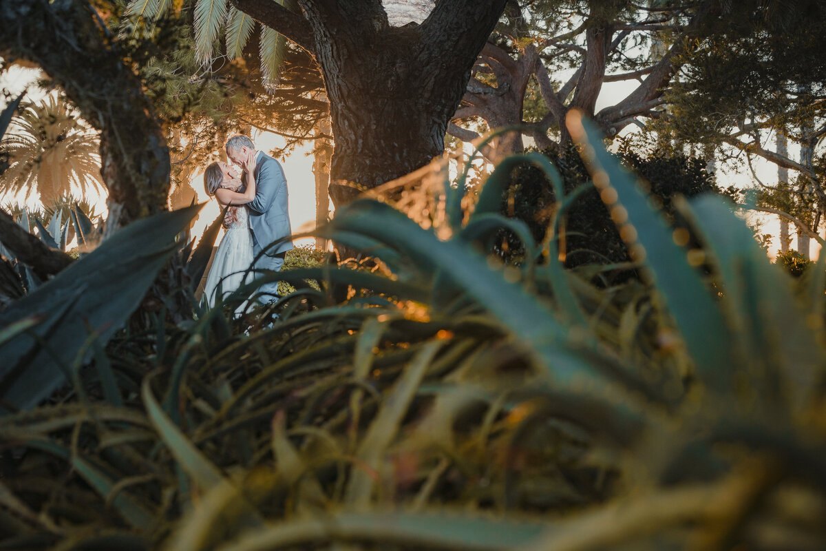 Jennifer + Brian Wedding Romantics-66