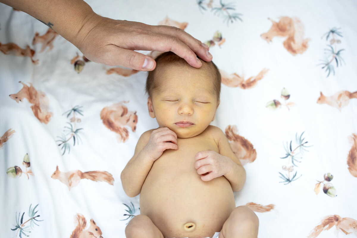 Baby laying on blanket with mom's hand on head