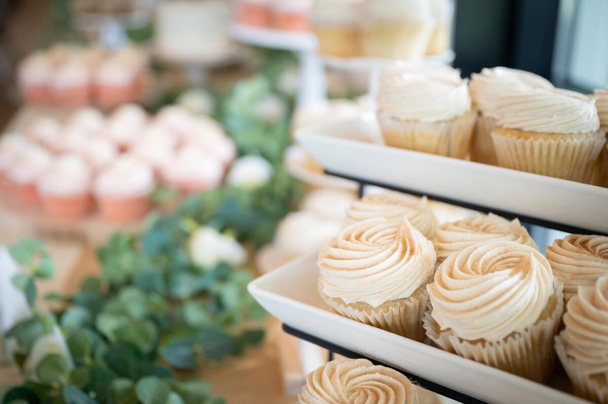 grandrapidsweddingphotographer-mm--104