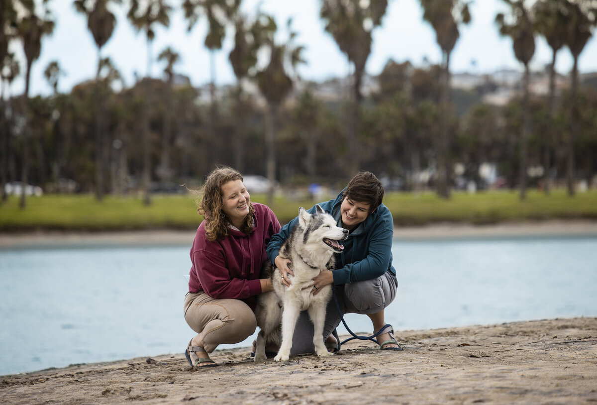 pet photo licensing 10 copy
