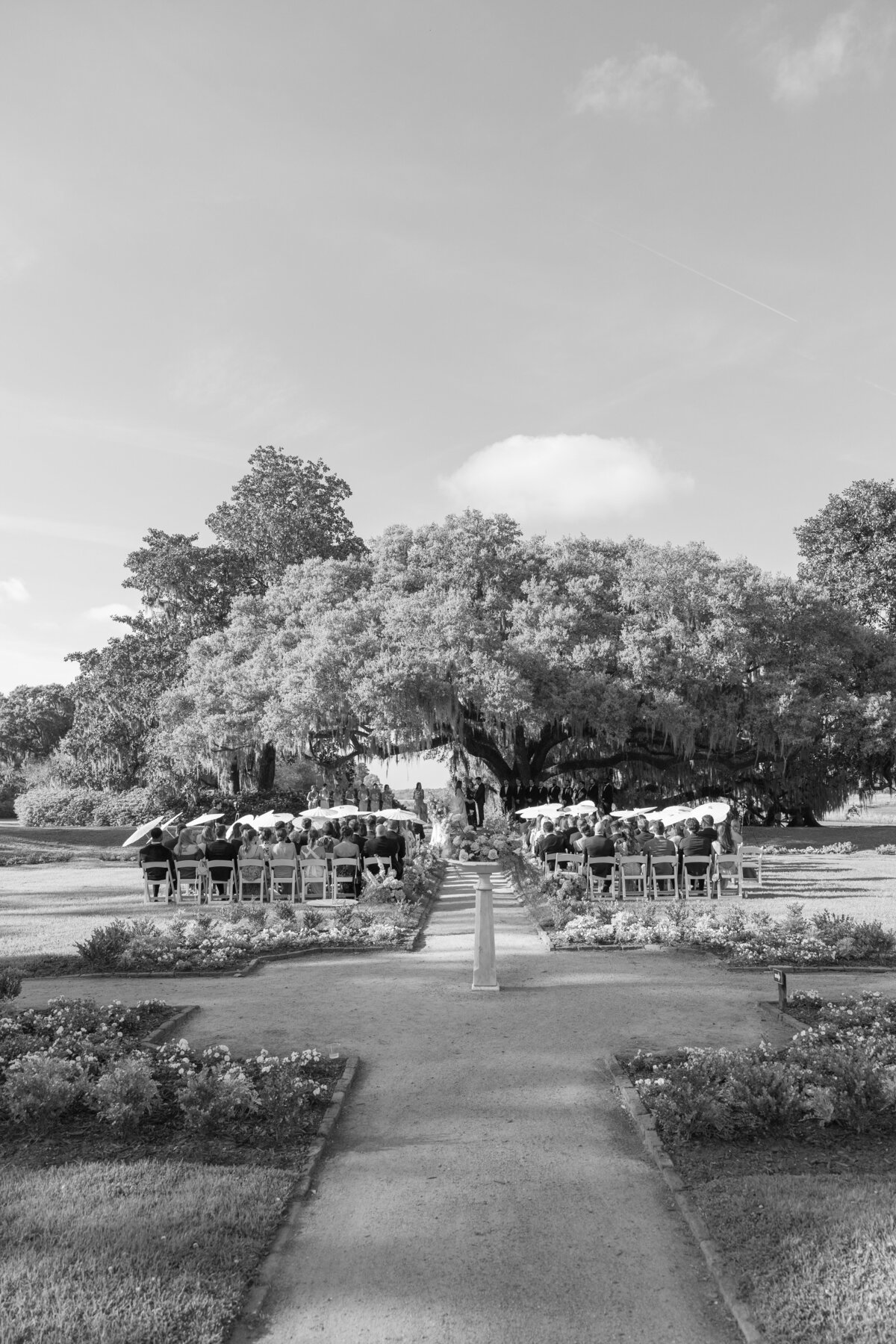 Middleton Place Weddings-4422
