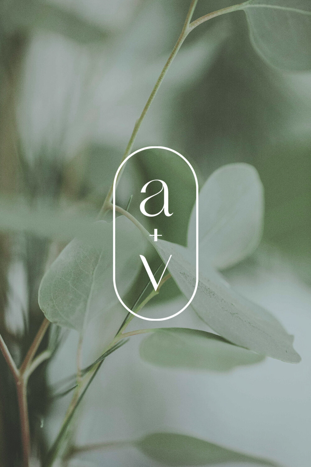 monogram-logo-design-alice-and-vine
