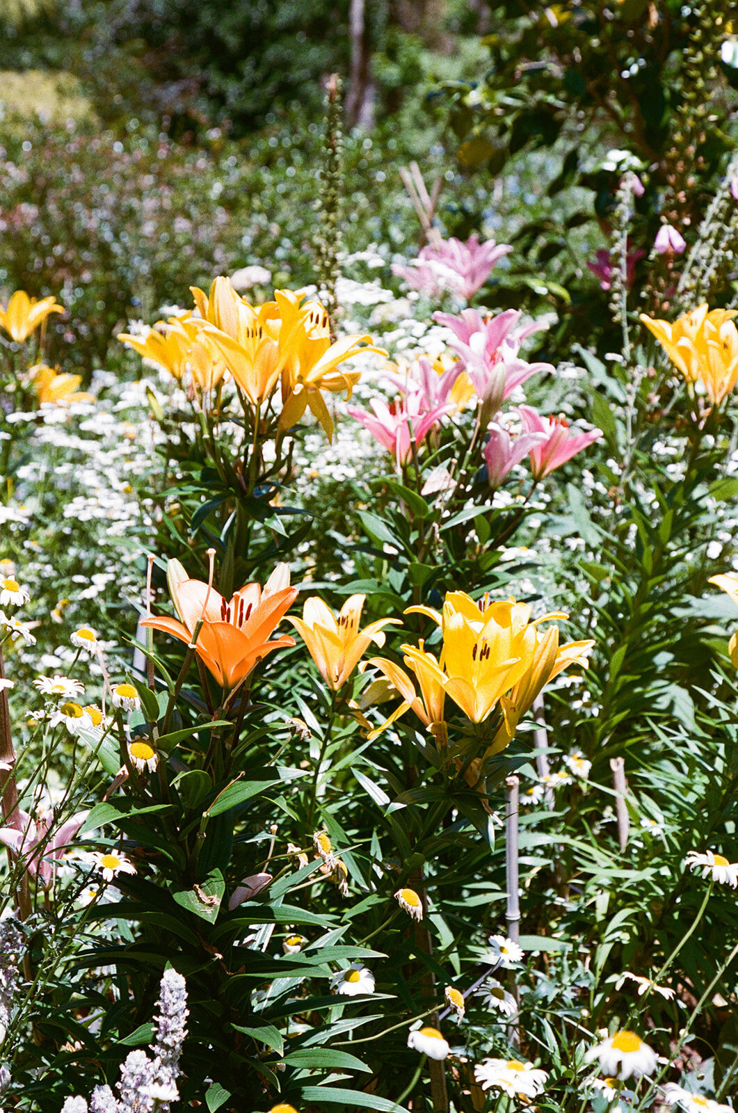 Hannah & Luke-455_websize