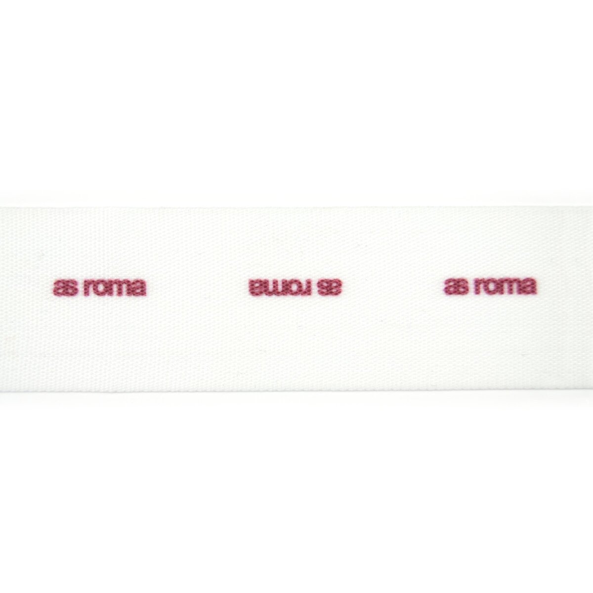 SS 1533003A01
