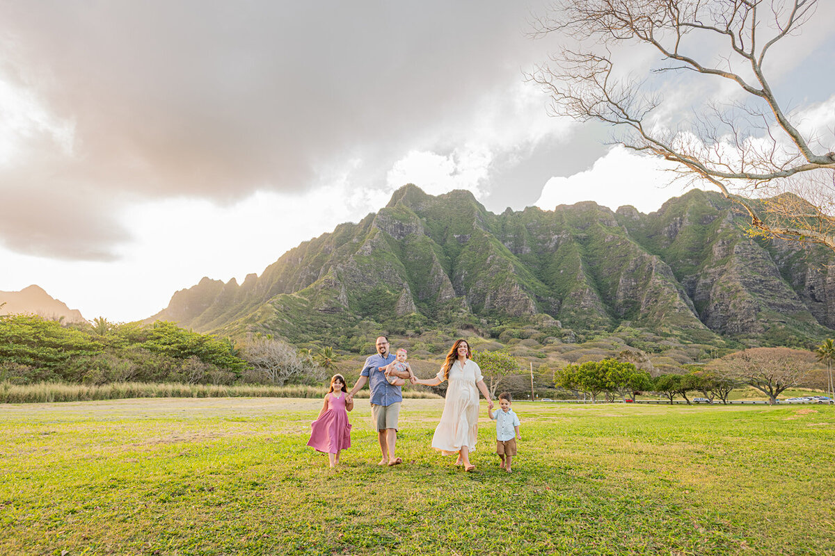 KUALOAAREA1