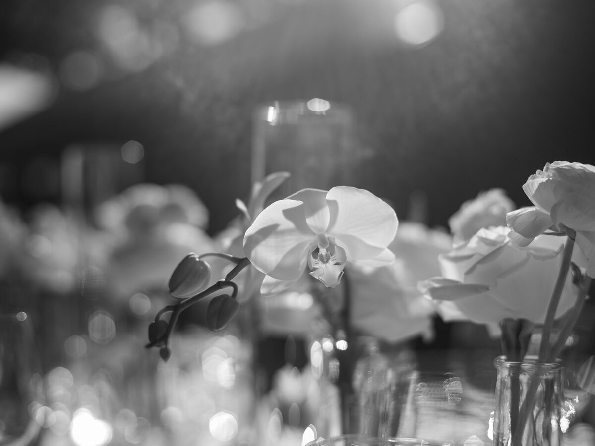 Napa-Carneros-resort-wedding-photography-wedding-classic-blackandwhite-churchwedding-wedding-thedejaureguis-046