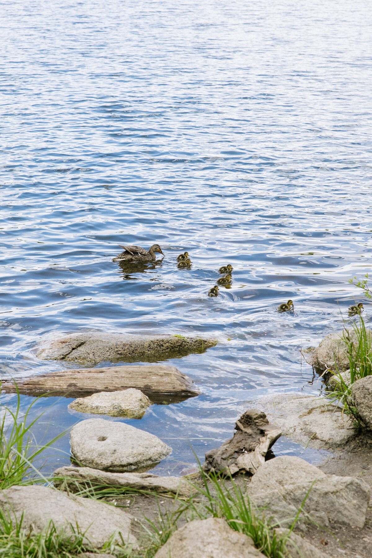 EBP_KGFULLGALLERY-618