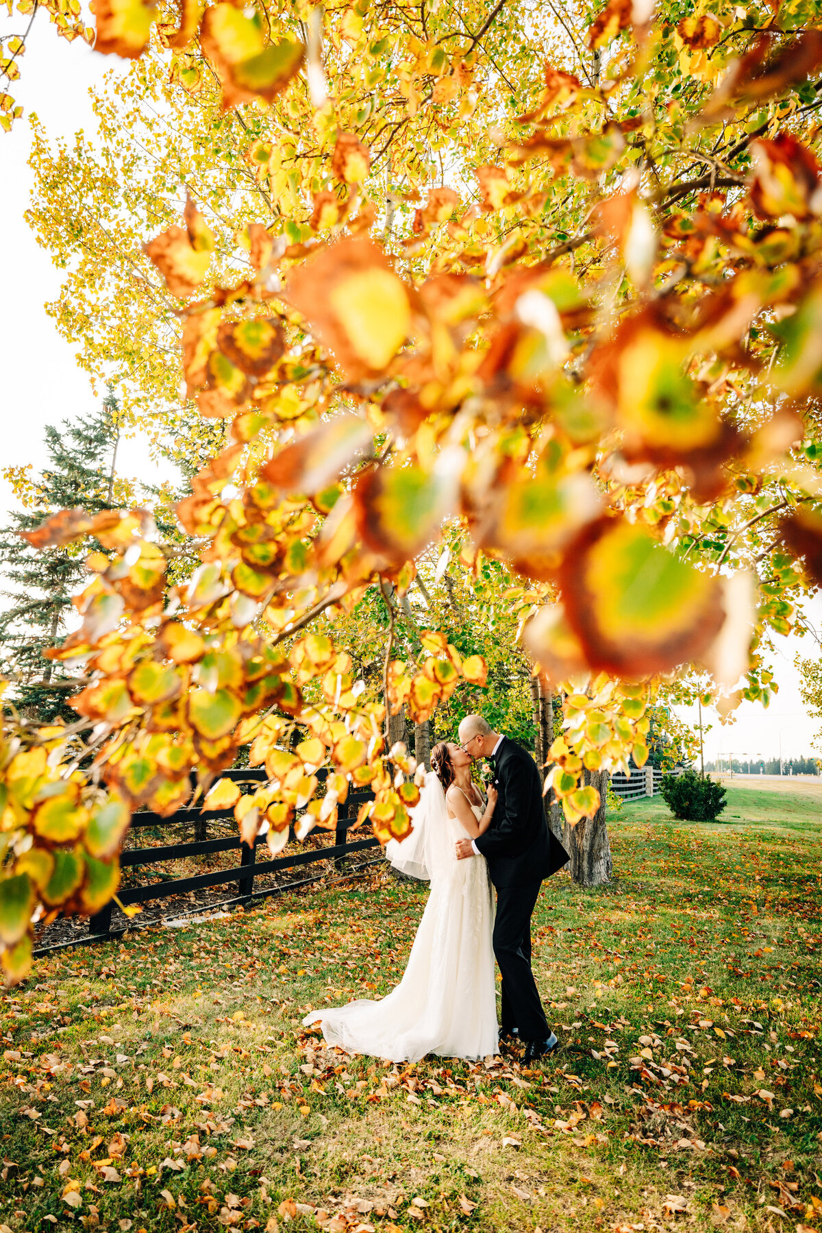 1934-May&AnthonyWedding