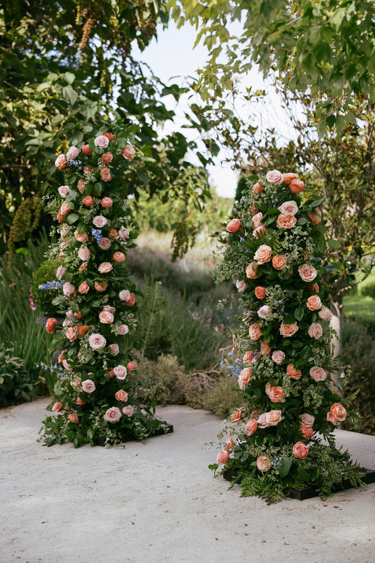 rosefreedmanphotography-32