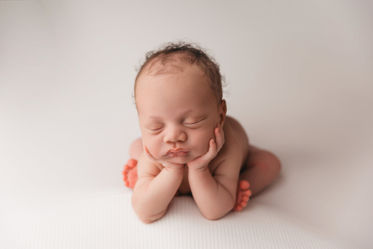 phoenix newborn studio session