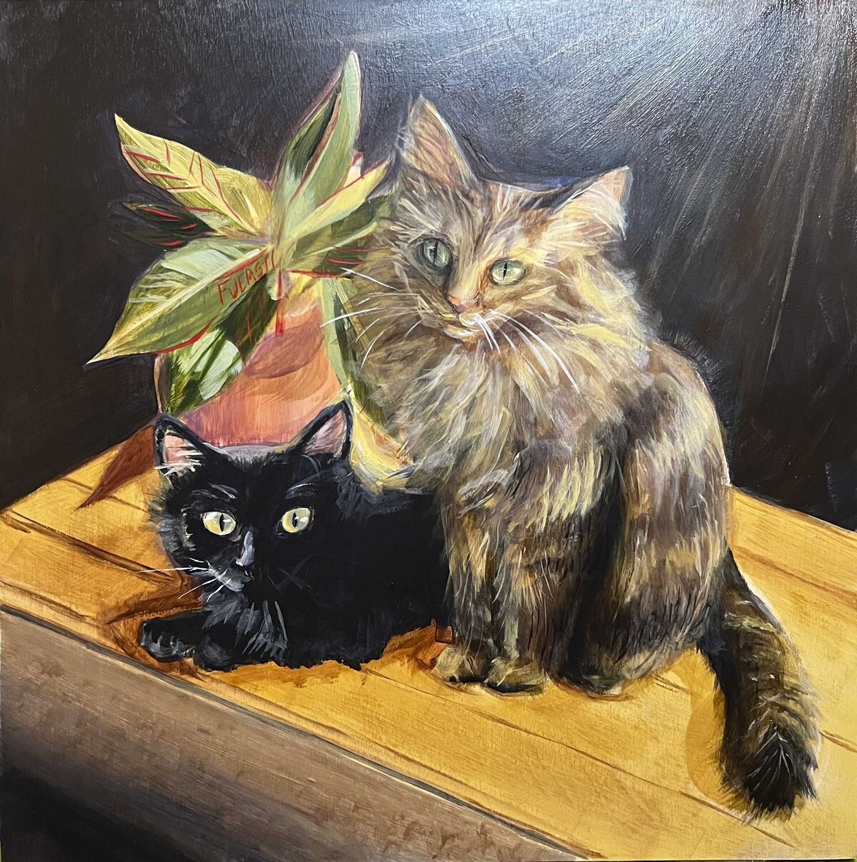 Two cats sitting together