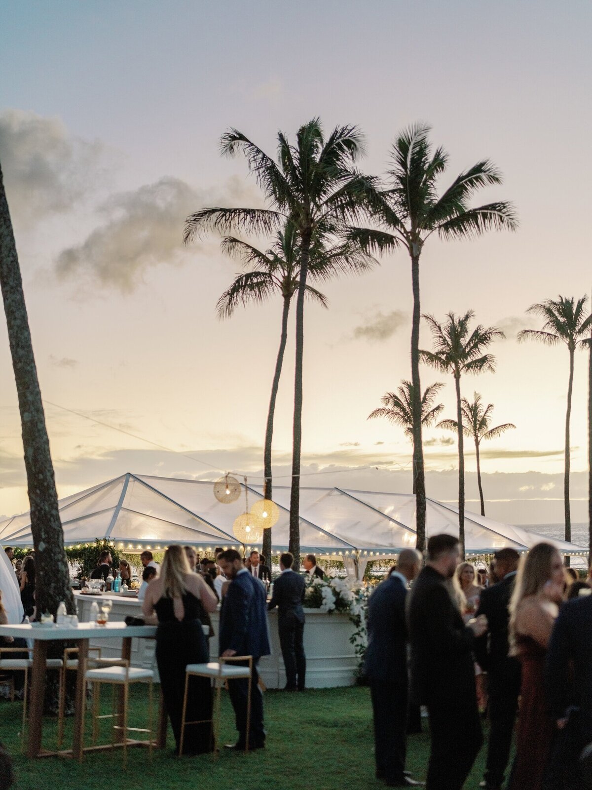Samantha Aaron Judge Maui Wedding_Lauren Fair0080