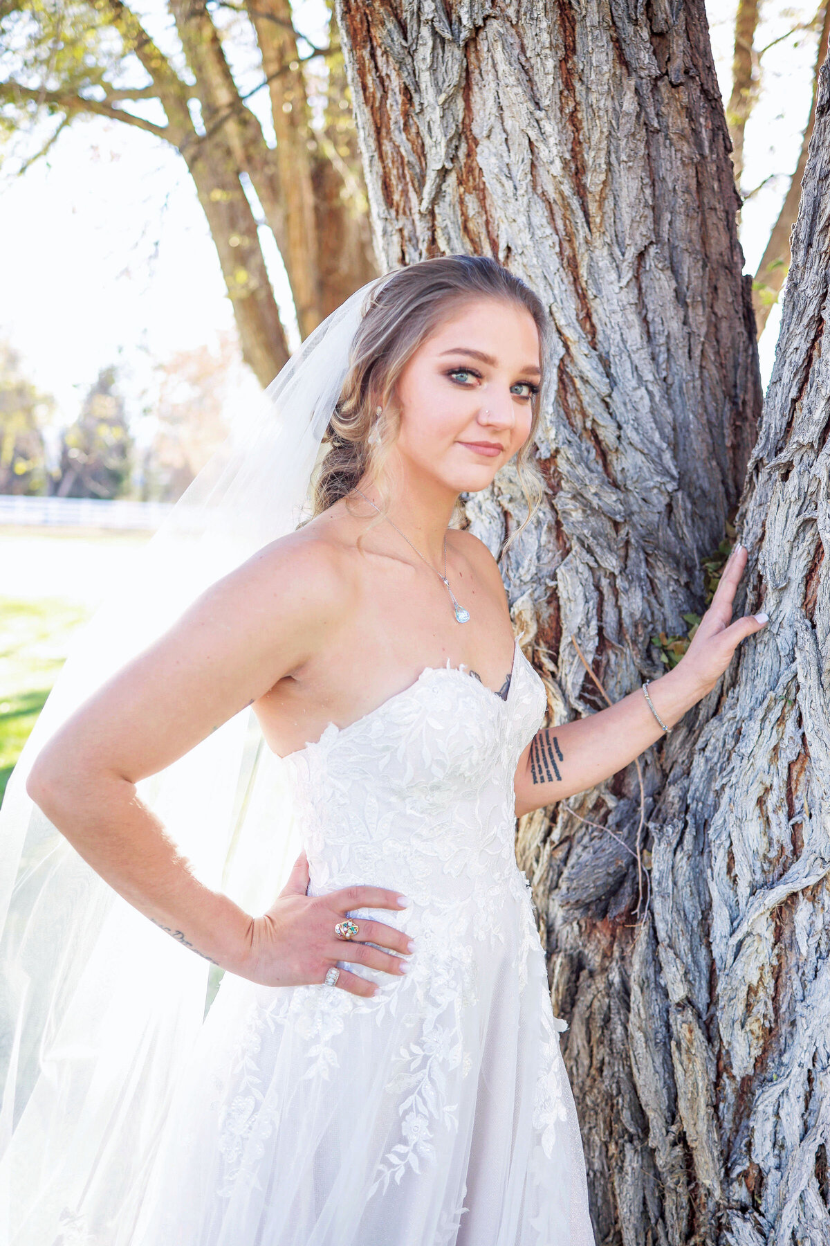 A bride, who is also an arborist clutching a beautiful tree and posing into the camera.