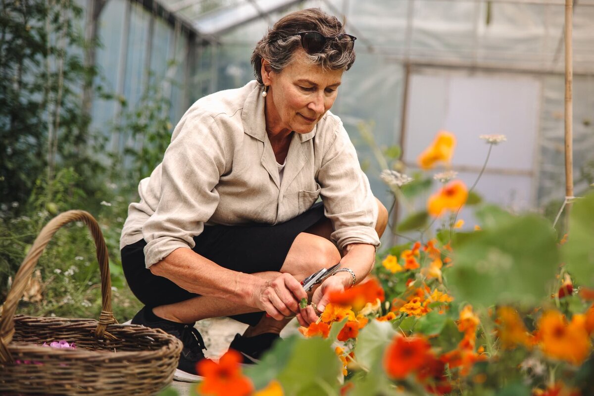 Verksamhetsfotografering av pensionatsvärdinna som skördar blommor i växthus – porträtt med naturligt uttryck i lantlig miljö.