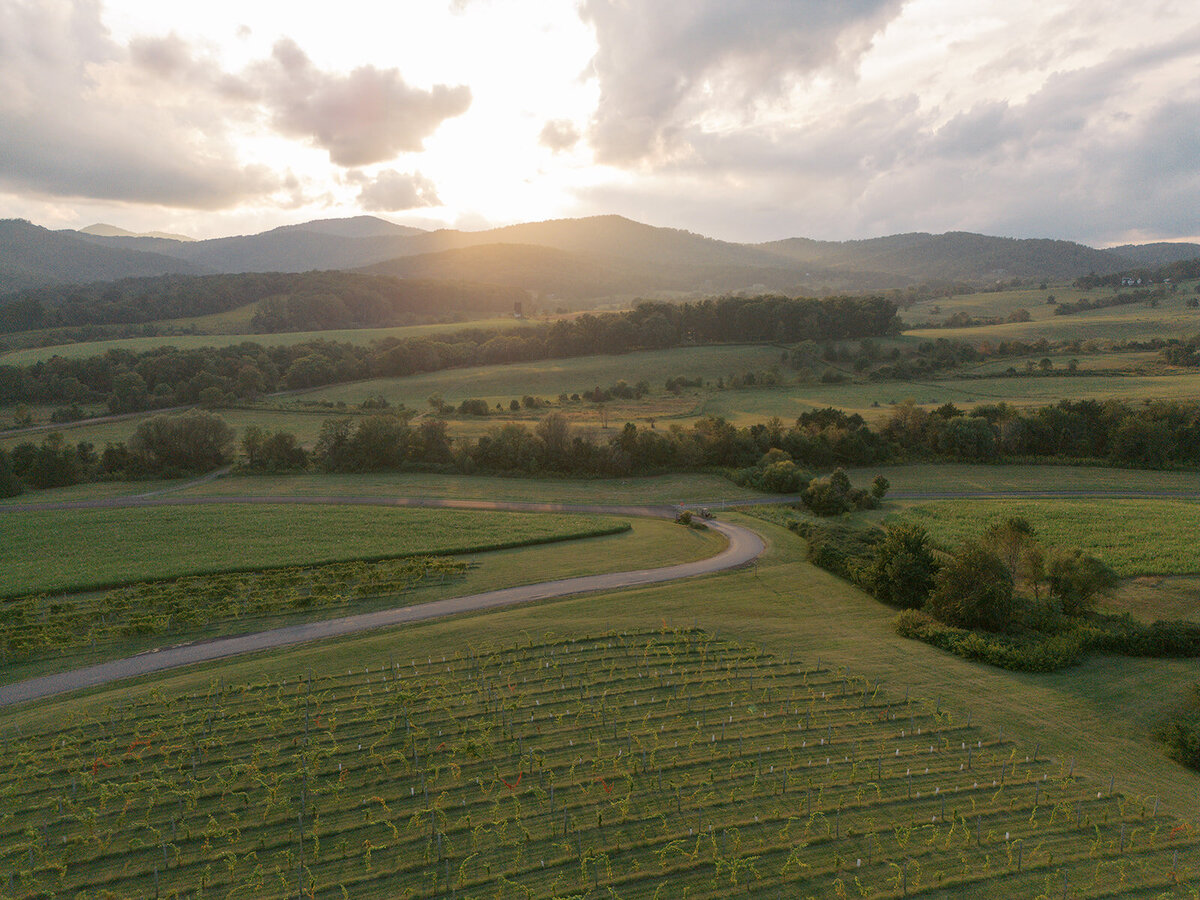 Pippin Hill Wedding Photographer_107