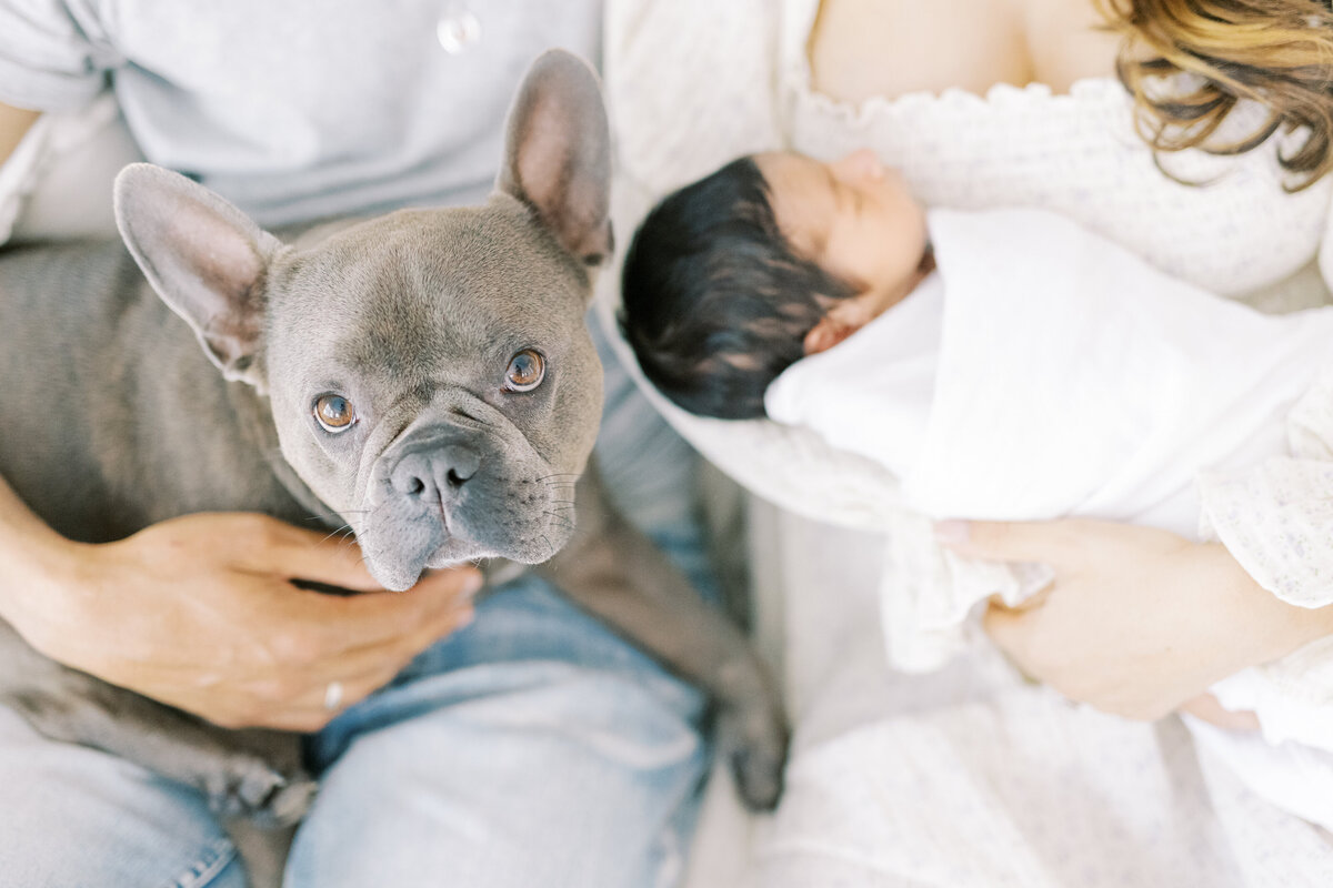 washington dc newborn photographer.becca allen photography (30)