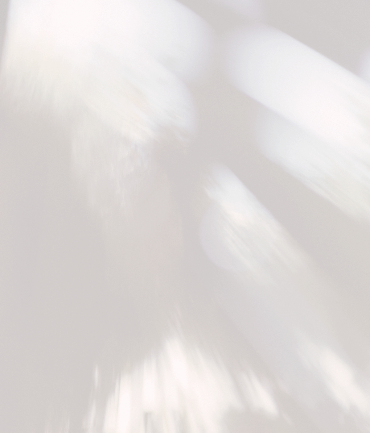 Overlay | Amphora Educ