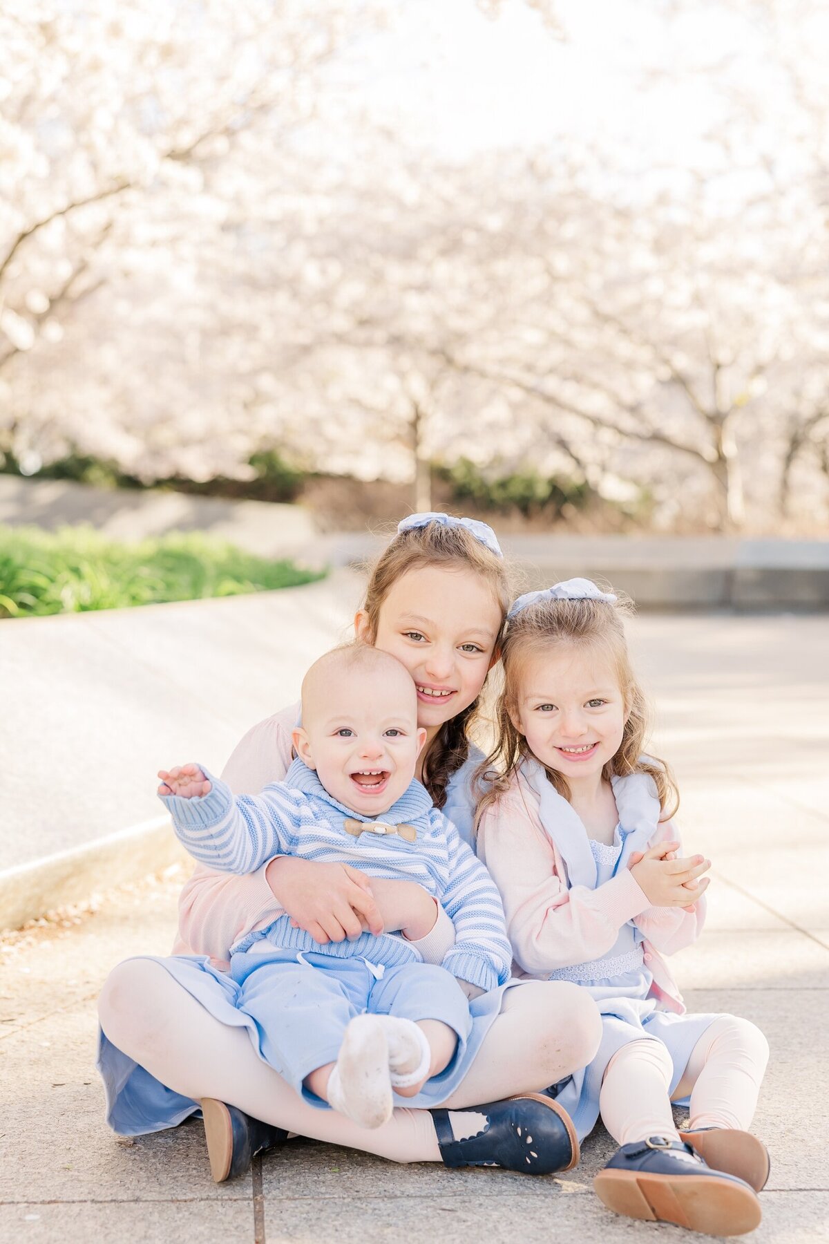 Three siblings sitting among the cherry blossoms for Erin Thompson Photography