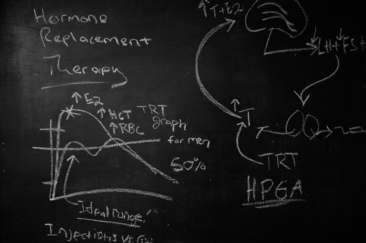 Hand-drawn anatomy sketches to highlight the art and science of medicine brand photo for a holistic HRT nurse practitioner