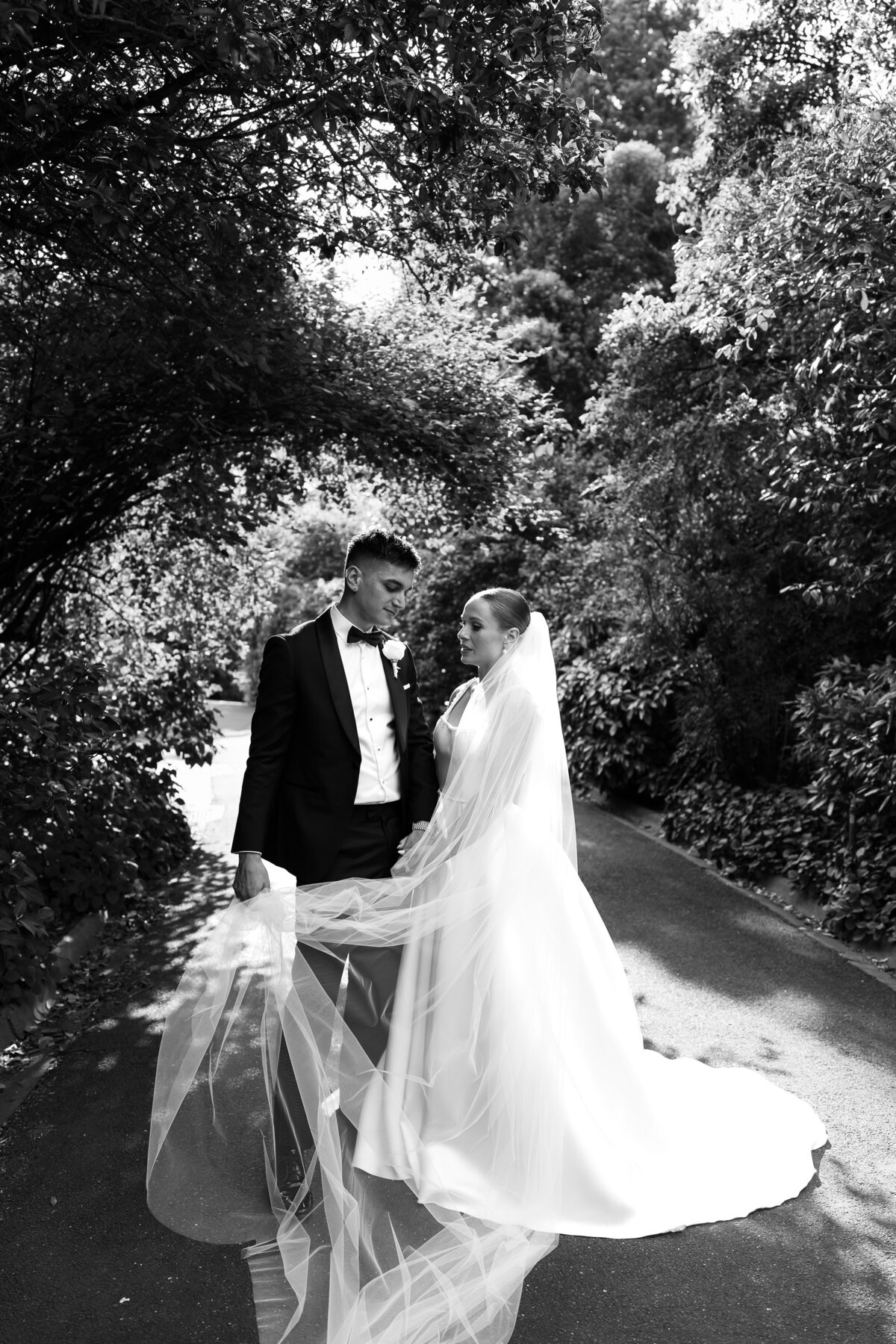 Courtney Laura Photography, Royal Botanical Gardens, The Terrace, Yarra Valley Wedding Photographer, Zoe and Sergio-280