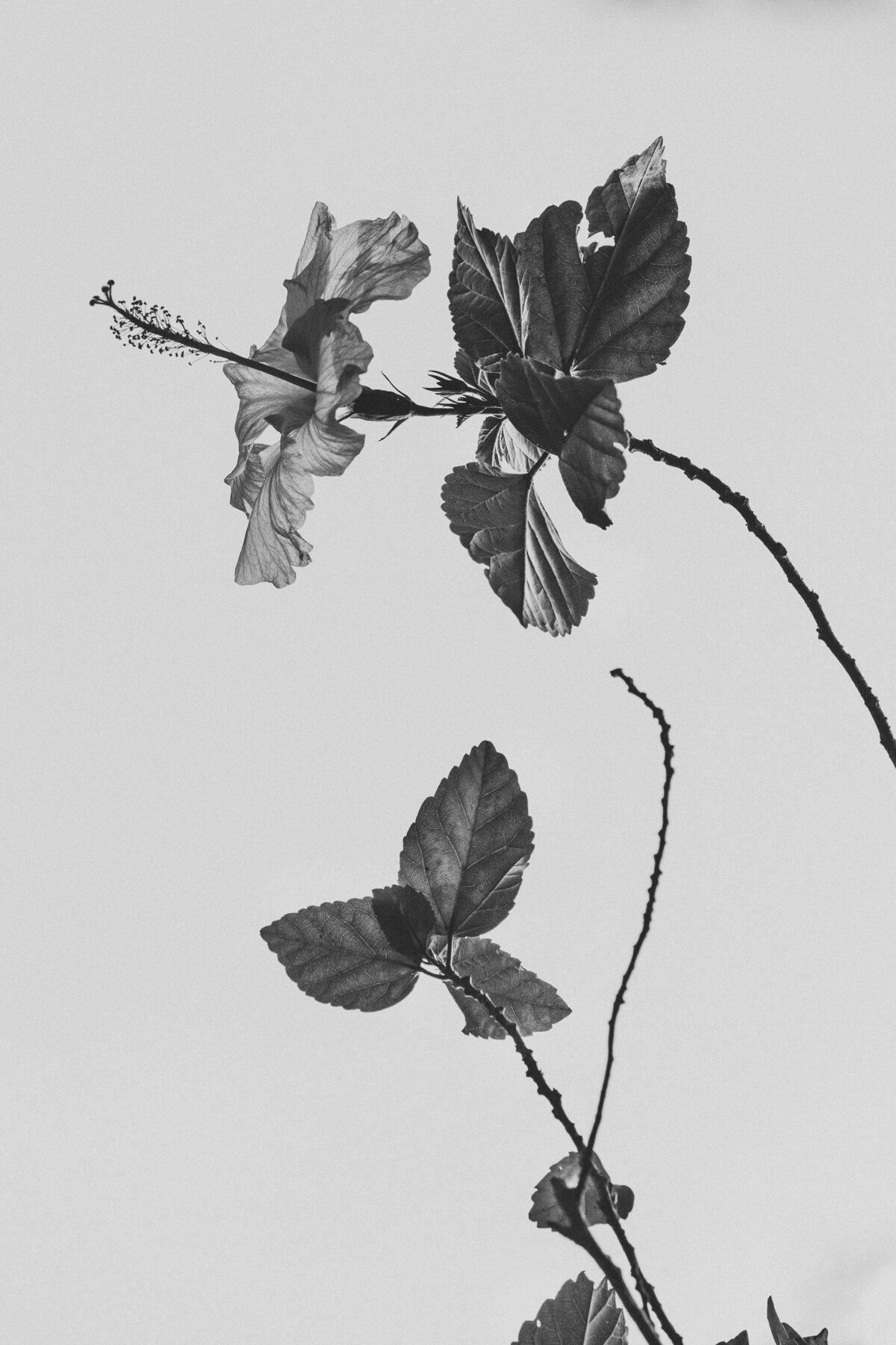 davi-moreira-t7itPRh7Kkg-unsplash