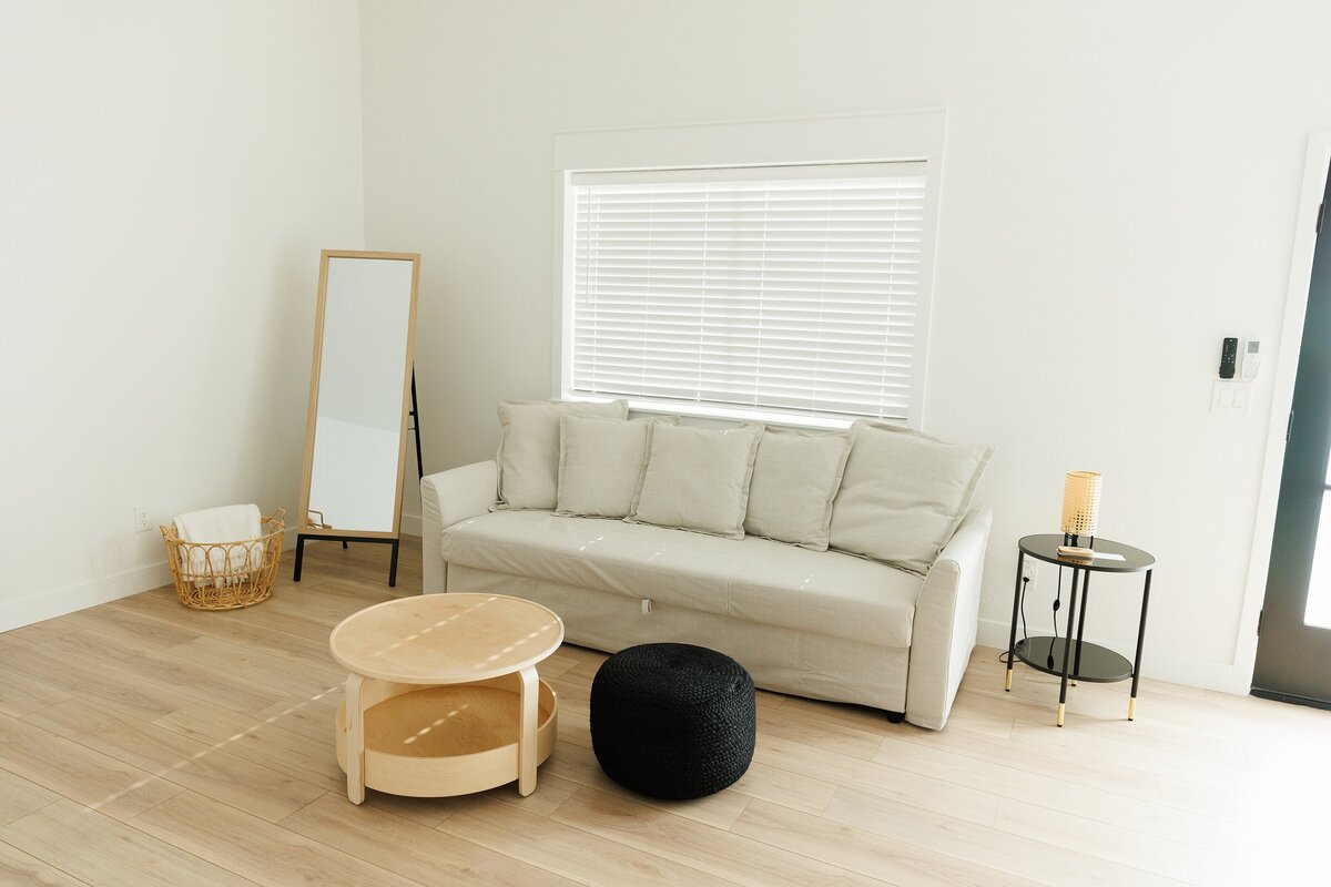 living room in luxury airbnb