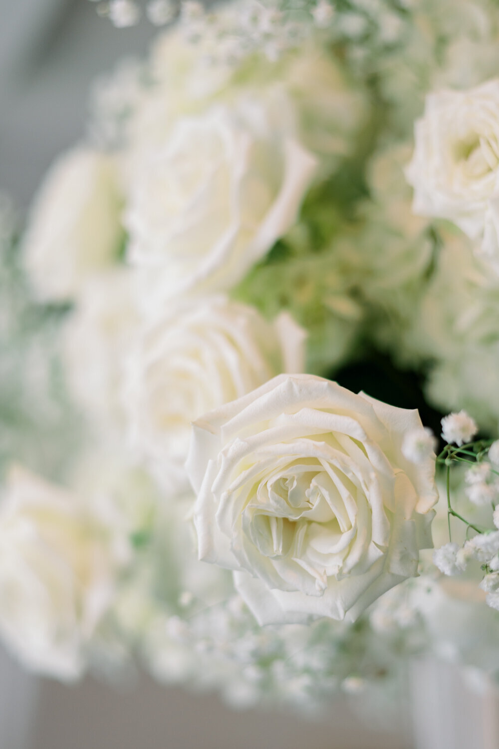 Deina+Mitchell-Highlights-WebSize-49