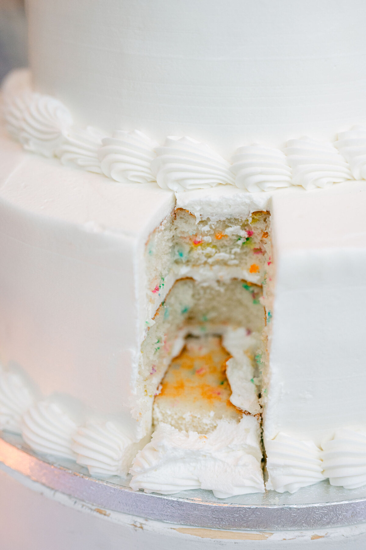AlexisLunsfordPhotographyEmma&JoeySwanHouseWedding-954