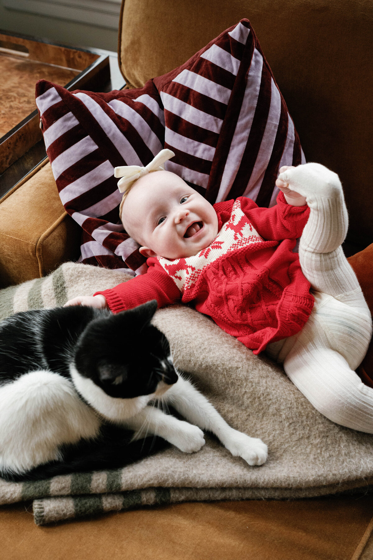 beggan-family-sneak-previews-31