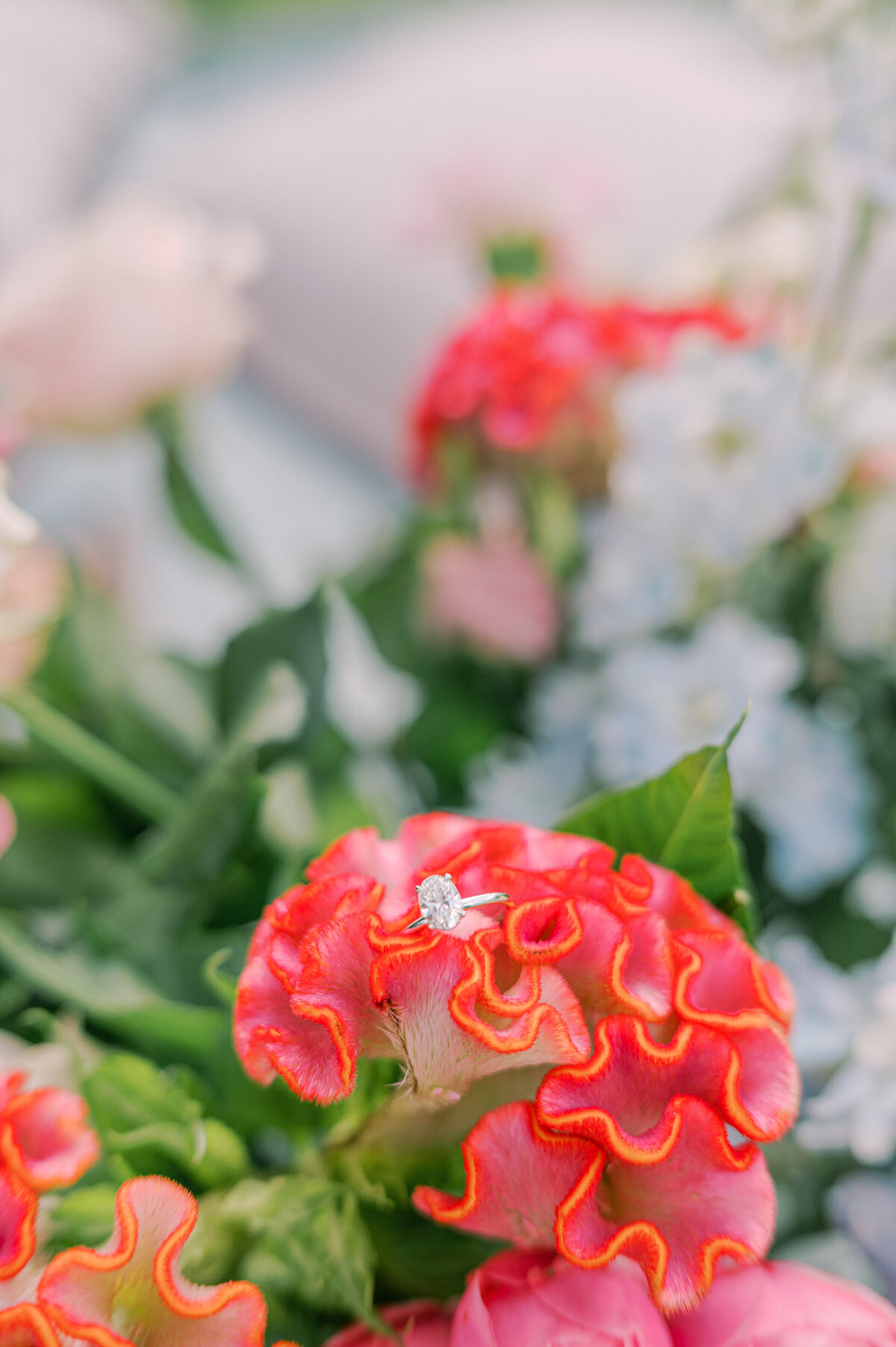 marriage-proposal-amsterdam-picknick-73