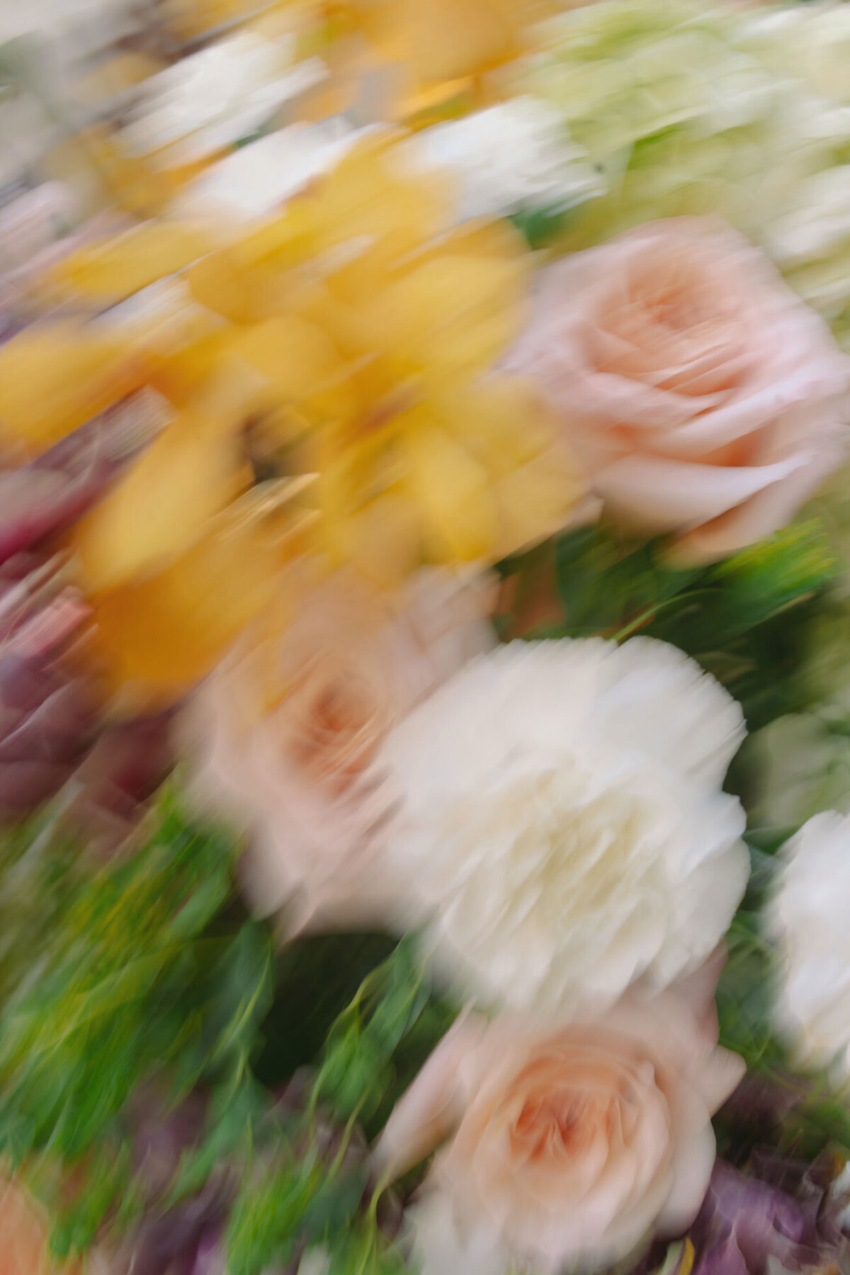 EulColWEDsp_65_7821a