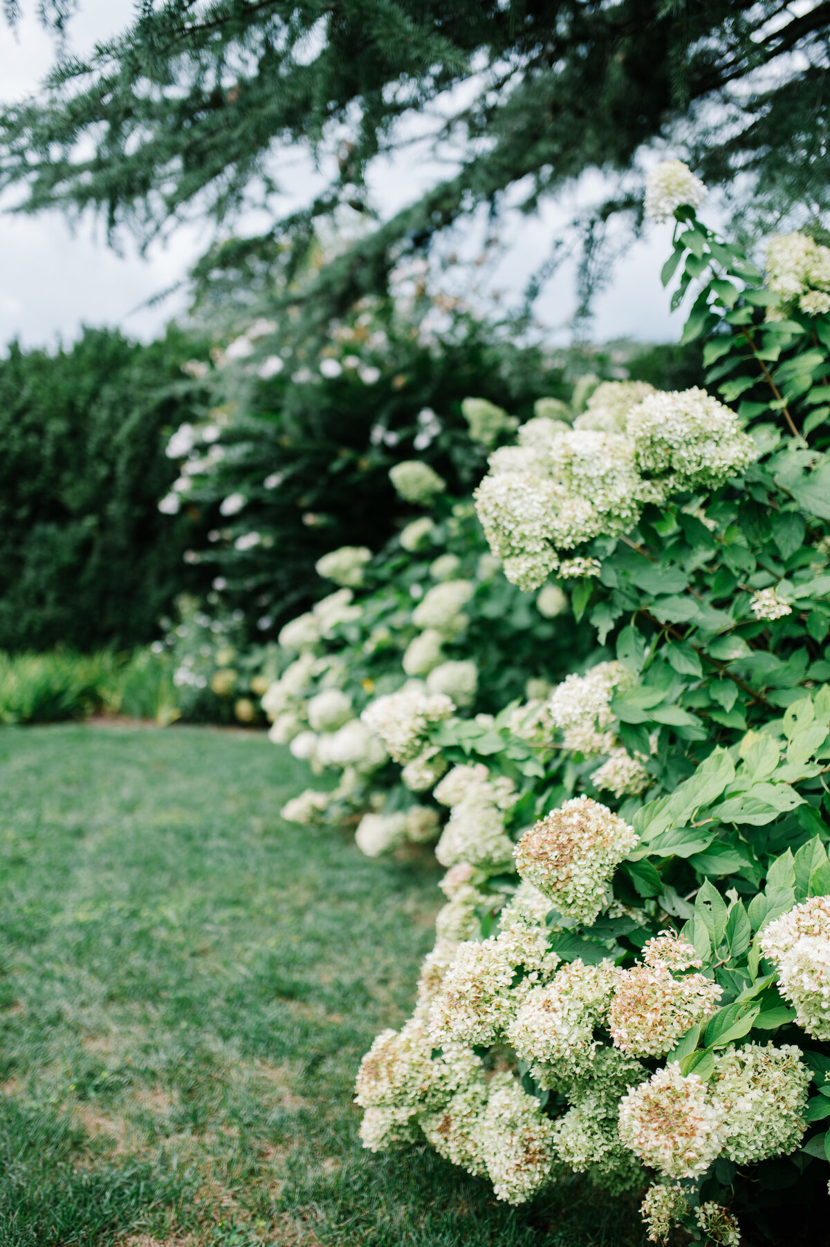 Glenstone-Gardens-Editorial-44