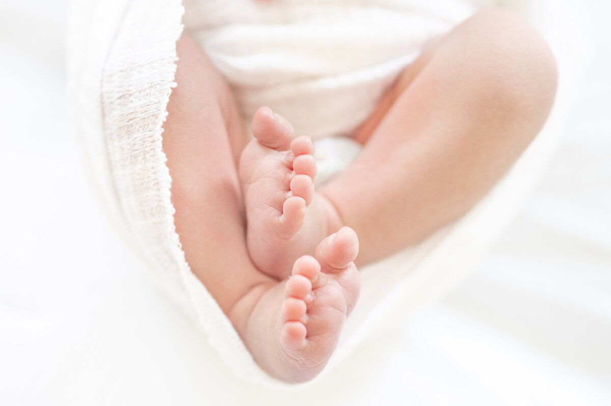 baby feet by apex newborn photographer