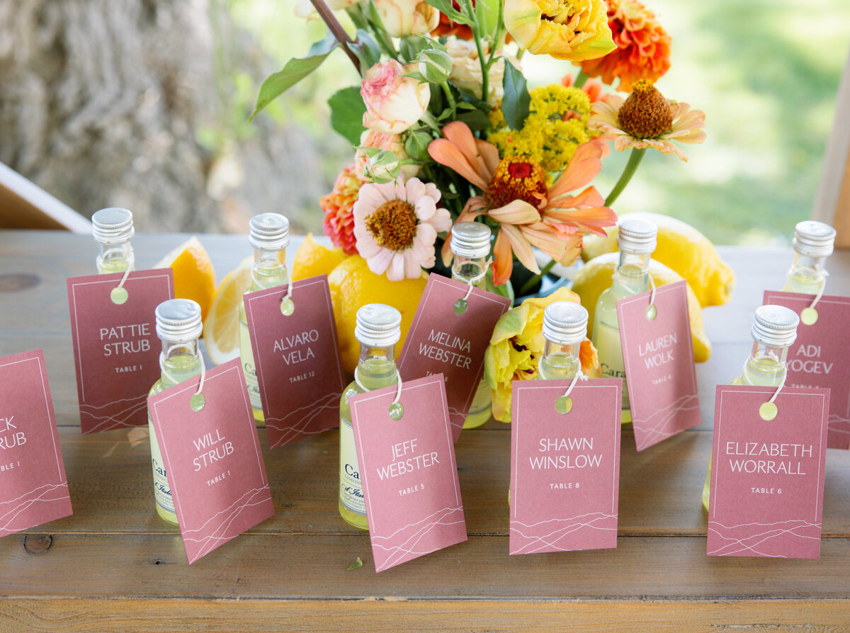 Hammersky_Vineyards_Paso_Robles_Wedding_069