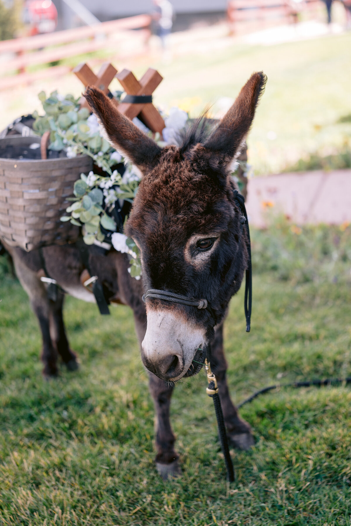 Aspen-Wedding-0095