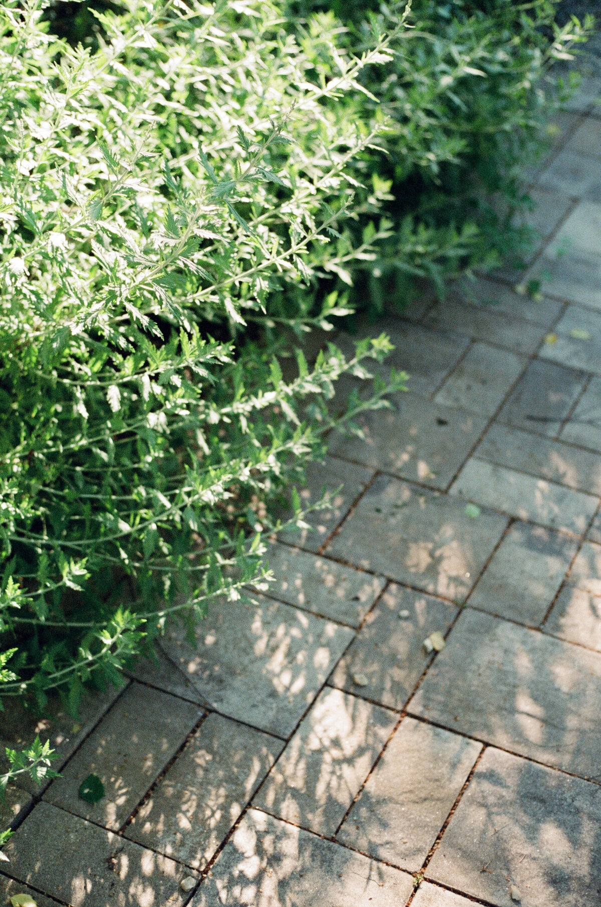 The Fairville Inn, Boutique Hotel Chadds Ford196