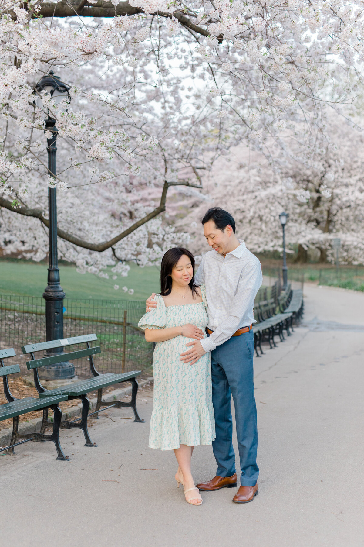 Spring cherry blossoms maternity session, couple under the blooms