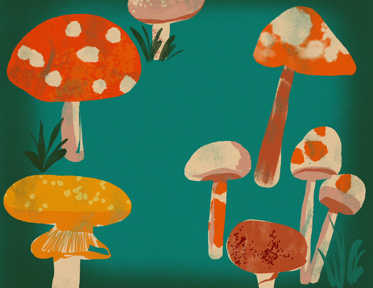 ZW_Illustration_MushroomPainted_25
