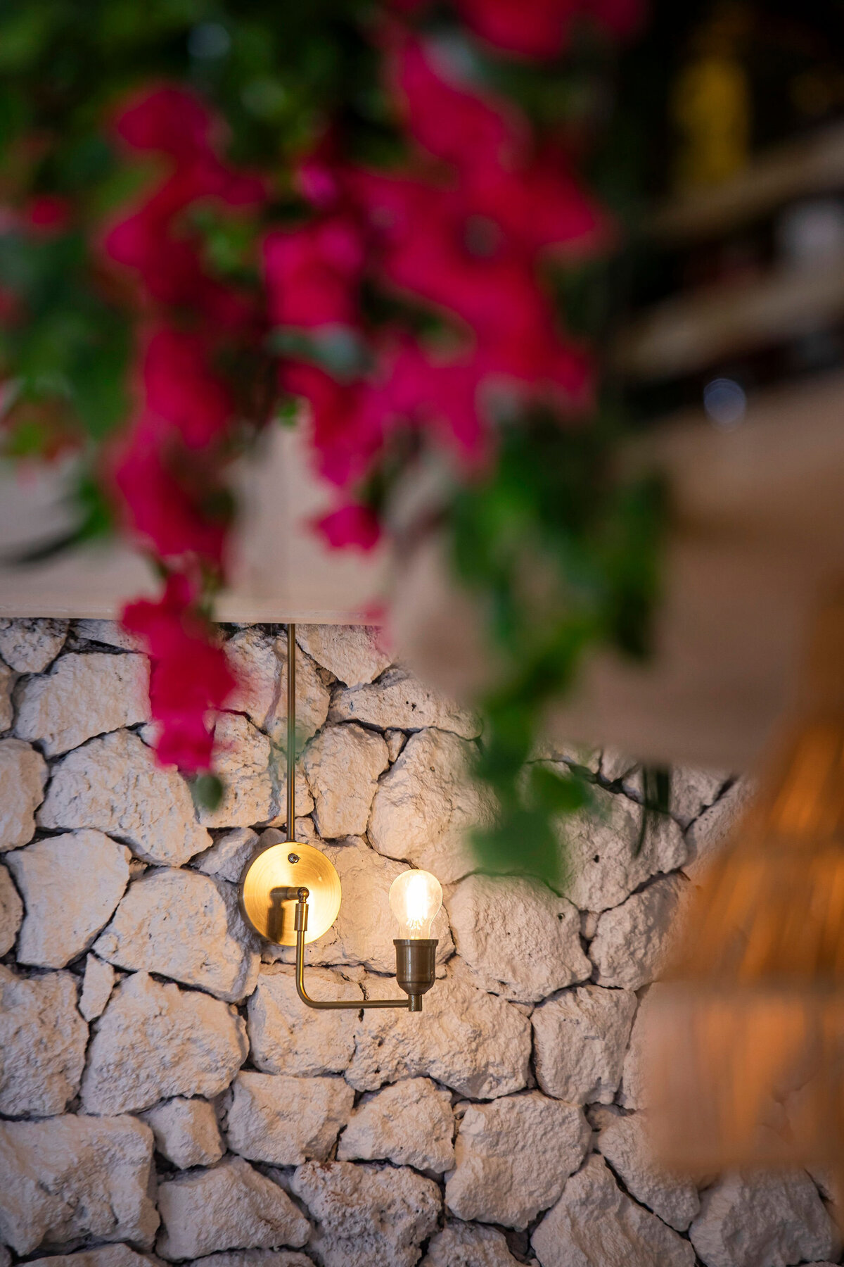 Bacano_013