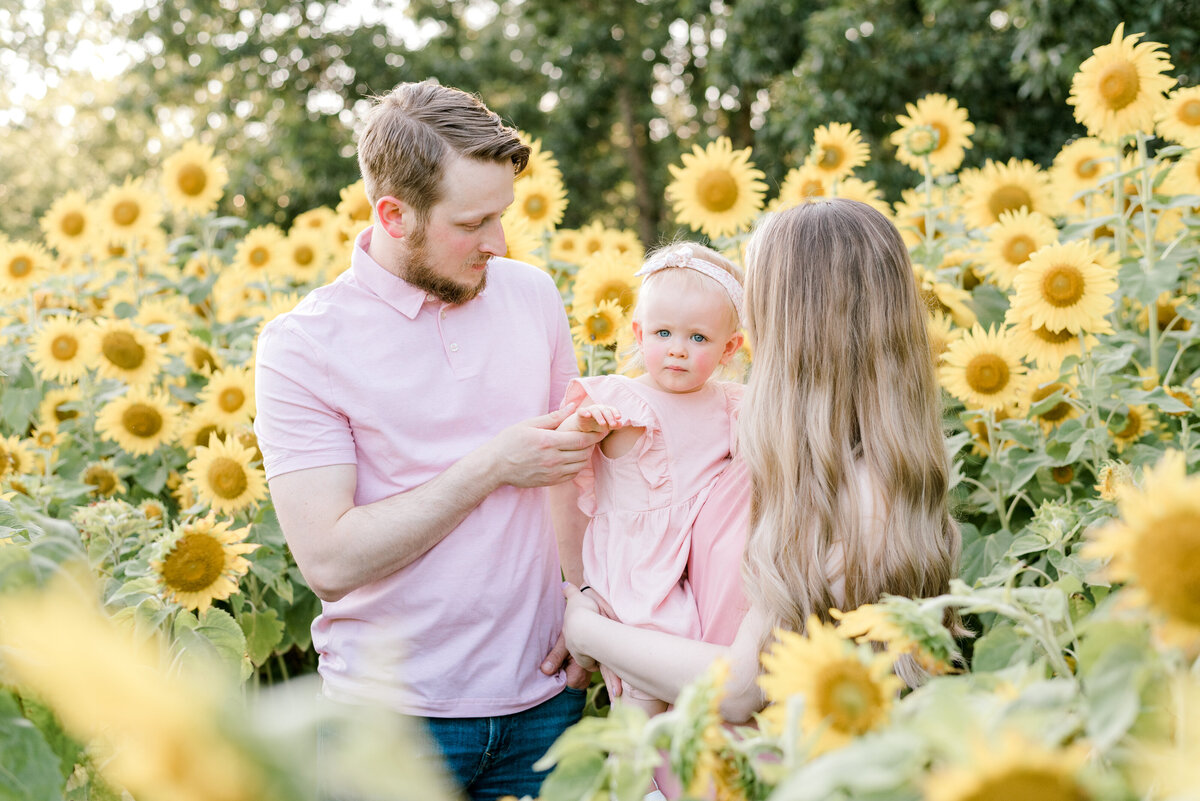 sunflower-griffin-1