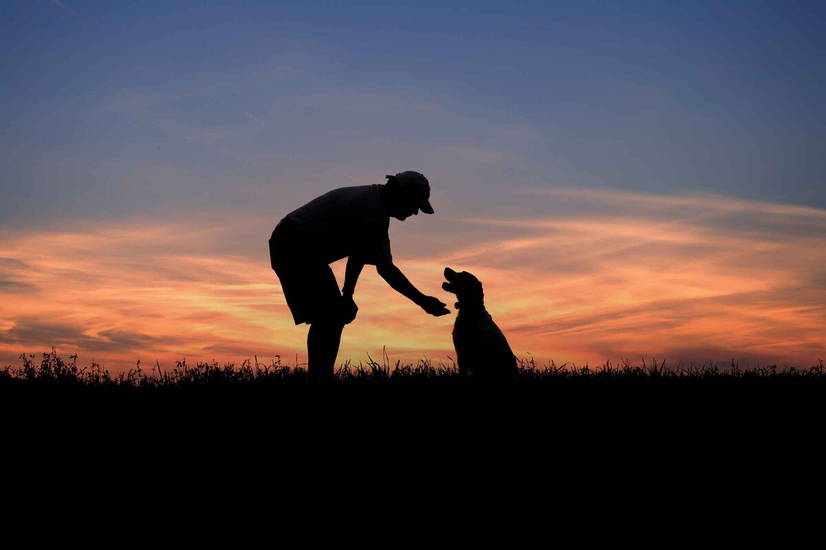 SilhouetteSpot
