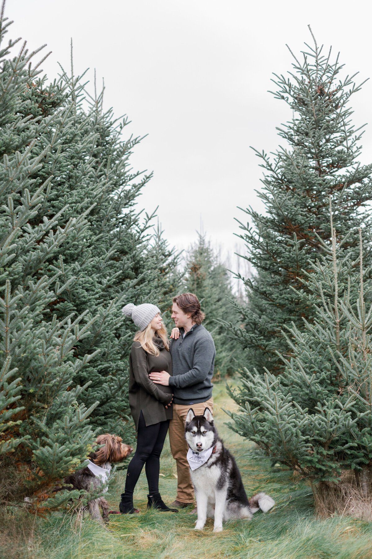 Emilia & Connor Maternity Tree Farm Minis - 69