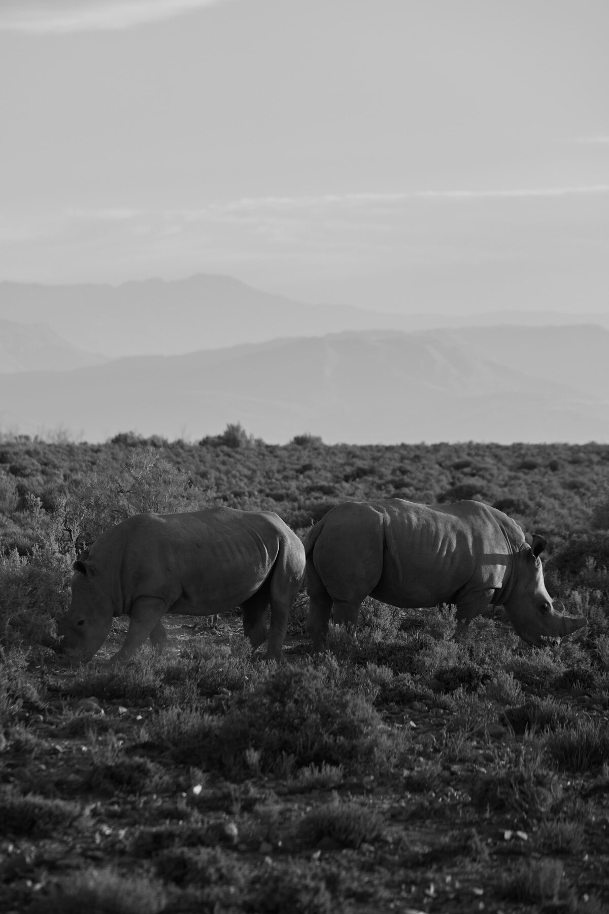 092_SouthAfricaWedding