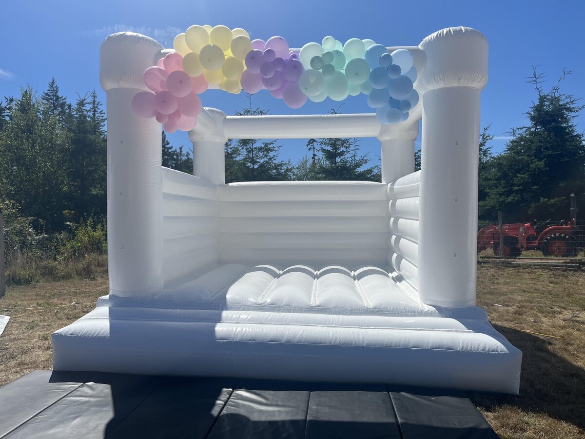 THE CLASSIC BALLOON GARLAND - ISLAND INFLATABLES WA