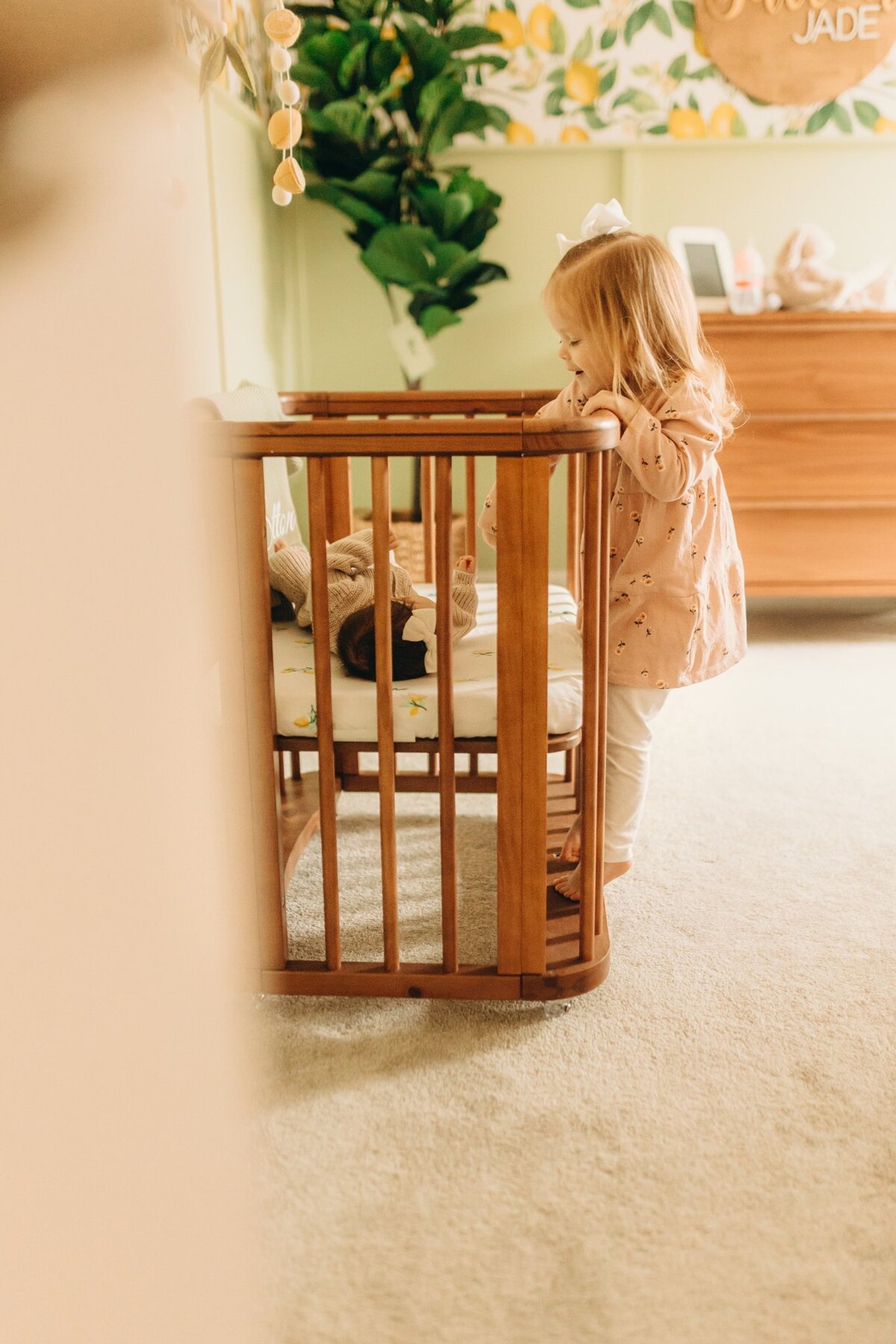 mckinney-newborn-little-elm-prosper-photographer-2