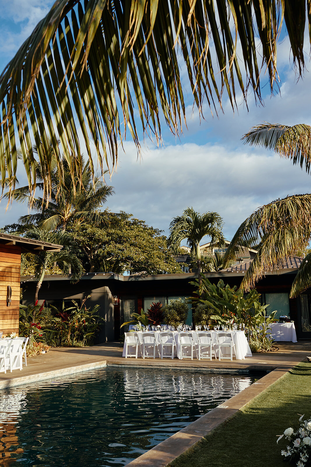 MeganLars_Maui_wedding_July_2024_danipadgettweddings0517_websize