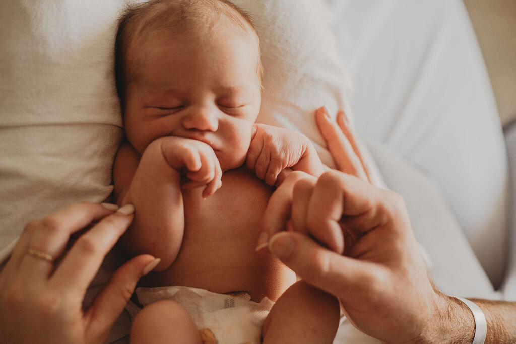 HudsonElizabeth'sFresh48JPEG-174