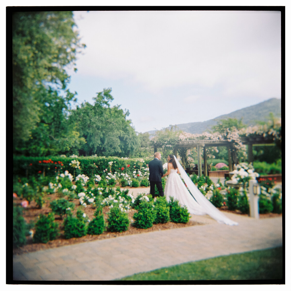 N + S Film-120