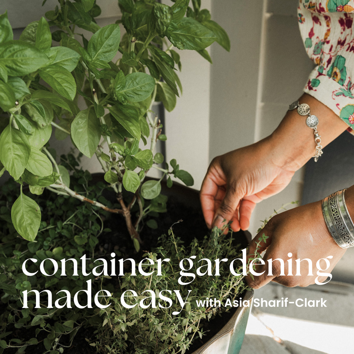 Container Gardening Made Easy Podcast