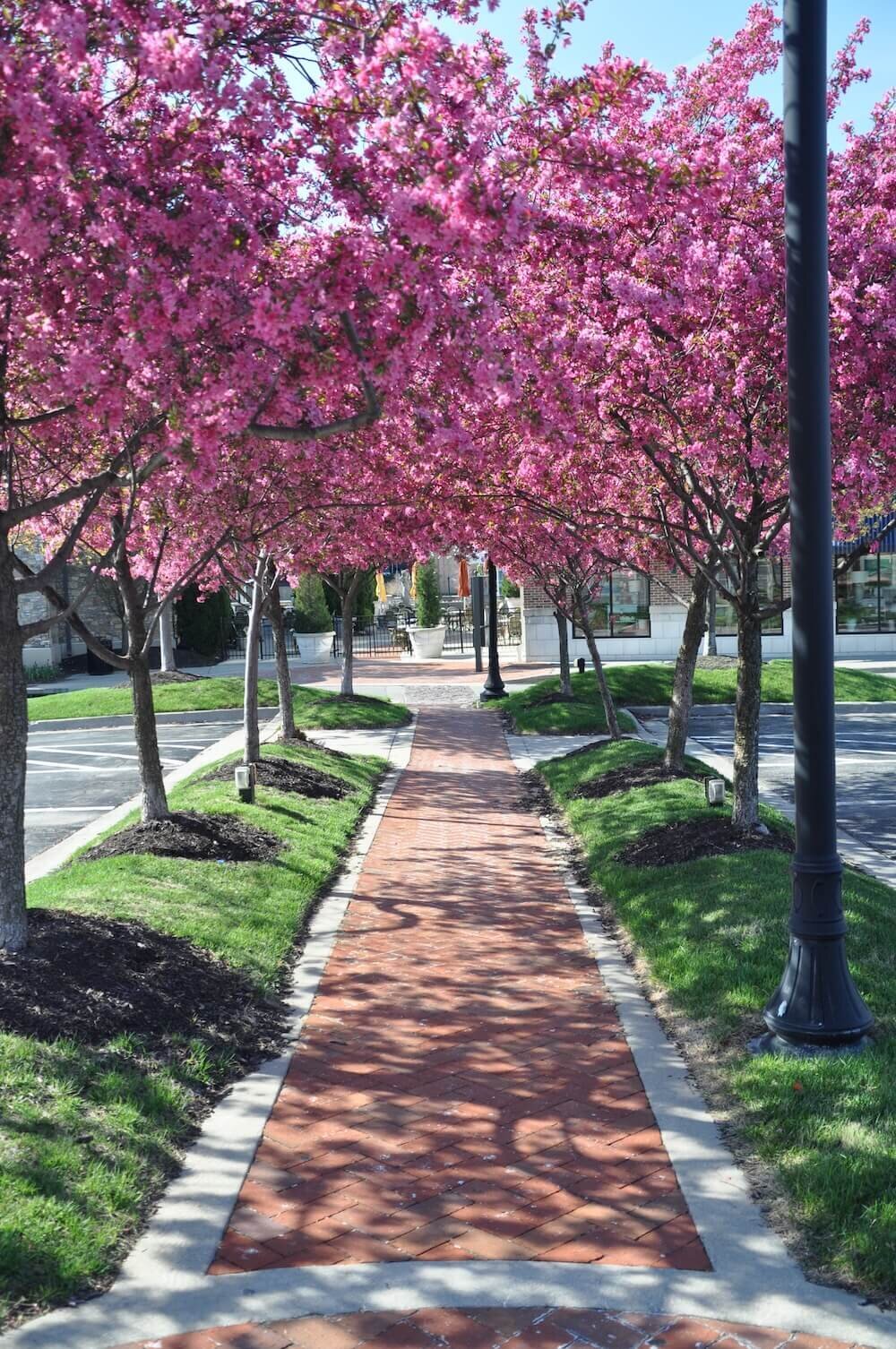 Residential landscape company project in Kansas City